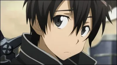 Si tu étais dans SAO, Kirito serait pour toi...