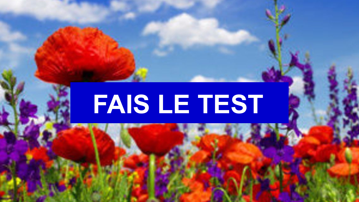 Test de personnalité Quelle fleur es-tu ?