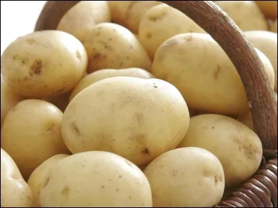 POMMES DE TERRE - L'enfant a besoin de manger plus de pommes de terre que l'adulte.