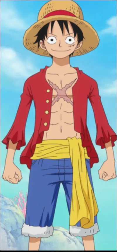 Qui a entraîné Luffy pendant un an et demi ?