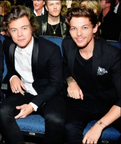 Vrai/faux : Louis Tomlinson et Harry Styles n'ont jamais habité ensemble.