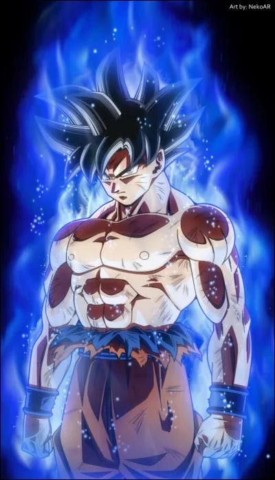 Quelle est la prochaine transformation de Gokû ? ("Dragon Ball Super")