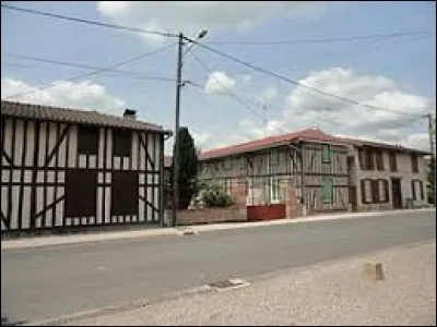 Pour commencer ce mois d'Octobre, je vous emmène en Champagne crayeuse, à Blacy. Village Marnais, il se situe en région ...