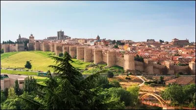 Cette ville espagnole est l'une des plus belles villes fortifiées d'Europe : elle est entourée d'une impressionnante muraille, construite au XIIe siècle, comptant 88 tours et 9 portes. Quelle est cette ville ?