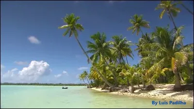 Qui a sauvé Taïti pendant la 1re Guerre Mondiale ?