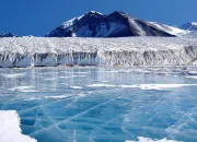 Quiz L'Antarctique