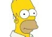 Quiz Les Simpson