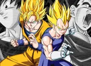 Quiz Goku ou Vegeta ?