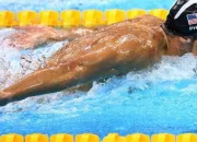 Quiz Tout sur la natation !