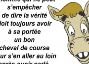 Quiz Le bon cheval