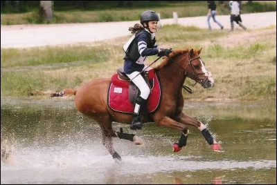 Nous formons un couple tout-terrain car je suis un cheval :