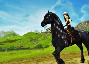 Quiz Star Stable Online