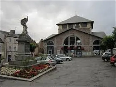 Pour commencer le week-end, je vous emmène sur la place de l'Ancienne Halle, à Bréhal. Ville Manchote, elle se situe en région ...