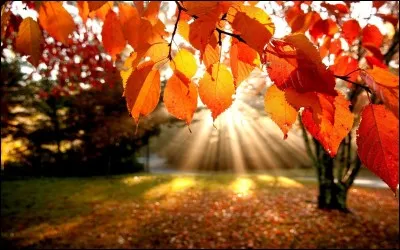 Cette fête a lieu en automne.