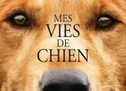 Quiz Mes vies de chien