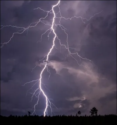 Si ton chien a peur de l'orage, tu dois...