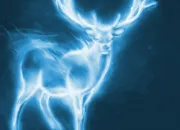 Test Quel est ton patronus ?