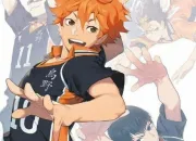 Quiz Quizz Haikyuu!