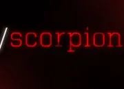 Quiz Scorpion