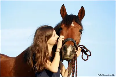 Quand tu panseS ton cheval que doit ressentir ton animal ?