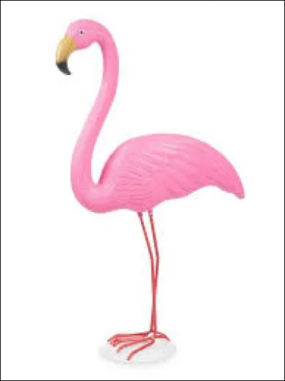 Pourquoi les flamants roses sont-ils de cette couleur ?