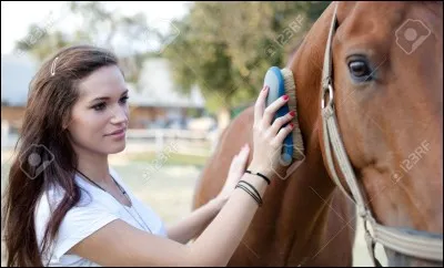 Dans quel ordre passe-ton les brosses sur un cheval pour le panser ?