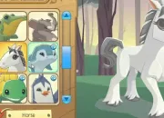 Quiz Animal Jam