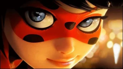 Quel est l'autre personnage principal dans Miraculous ?