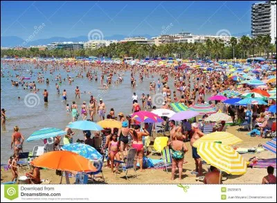 Ah ! Enfin arrivé à la plage. Oh ! Il y a un bar. J'aimerais demander du lait à la coco. Mais que dois-je dire ?