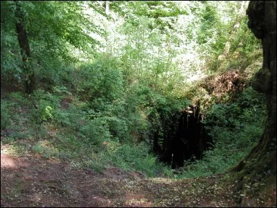 Tu viens de naître dans la pouponnière, aussi, la première chose que tu fais, c'est...