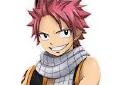 Qui est ce personnage de "Fairy Tail" ?