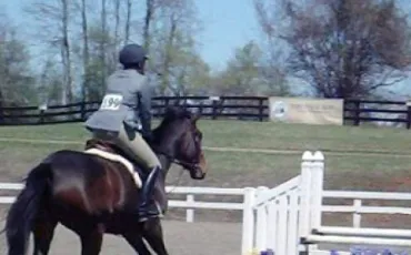 Quiz Equitation