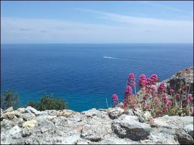 Où se situe la mer de Ligurie ?