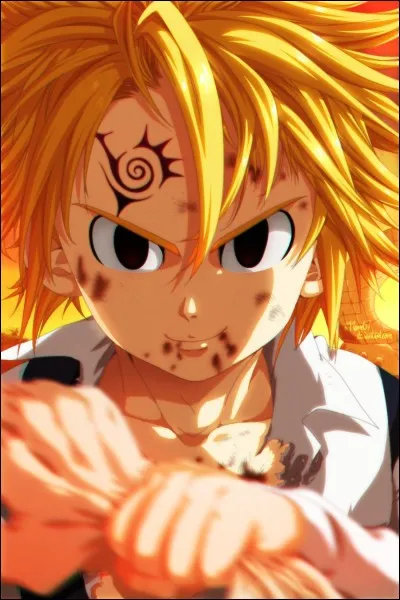 De quel clan Meliodas fait-il partie ?