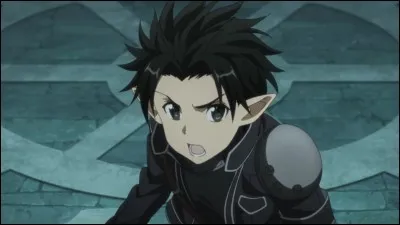 Si Kirito existait, tu aimerais qu'il soit :