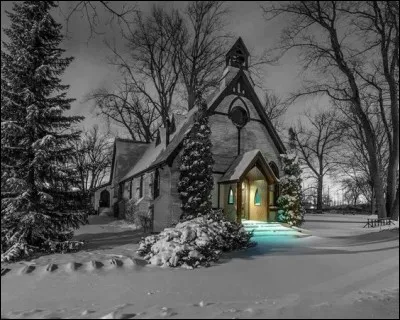 La fête de Noël, chacun le sait, c'est l'anniversaire de la naissance de Jésus ! D'après un célèbre chant de Noël, entre quels animaux est-il né ?