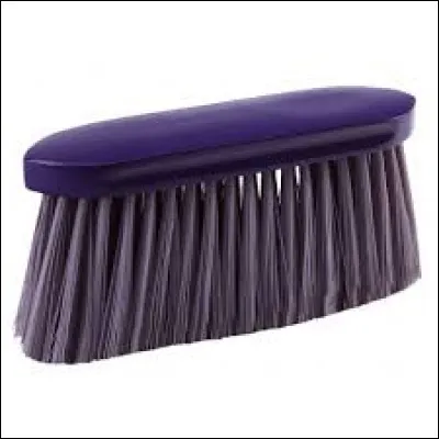 Quelle est cette brosse ?