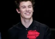 Test Es-tu faite pour sortir avec Shawn Mendes ?