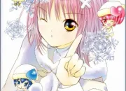 Quiz Quizz Shugo Chara