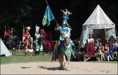 Roi de France au début du XVIe siècle, j'étais un grand amateur de joutes. Un jour que j'affrontais mon capitaine de la garde, sa lance est venue se briser sur mon armure et me perforer mortellement l'oeil, je suis ...