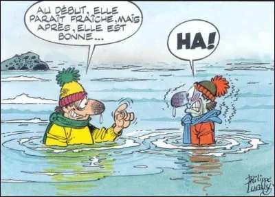 Lequel de ces cours d'eau coule en Bretagne ?