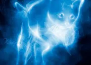 Quiz  qui est ce Patronus - 2