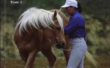 Quiz Chevaux