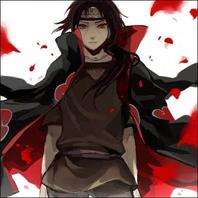 Quels sont les partenaires d'Itachi dans l'Akatsuki (anime) ?