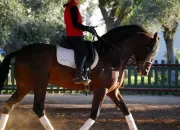 Quiz Races de chevaux