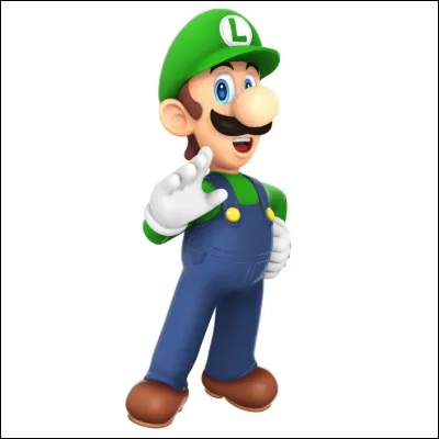 Qui est le frère de Mario ?