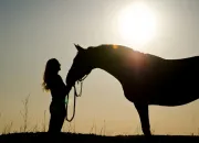 Quiz Connaissances des chevaux