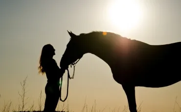 Quiz Chevaux