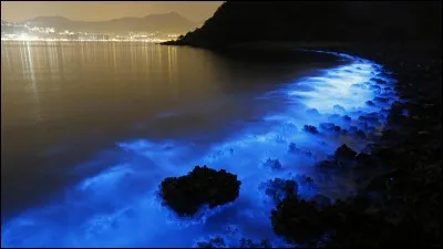 Hier, la mer était phosphorecente et on peut alors se demander d'ou vient le feu.