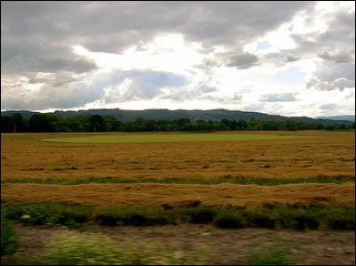 Walnut Grove, petite localité rurale, est le lieu de vie des personnages de la série... ?